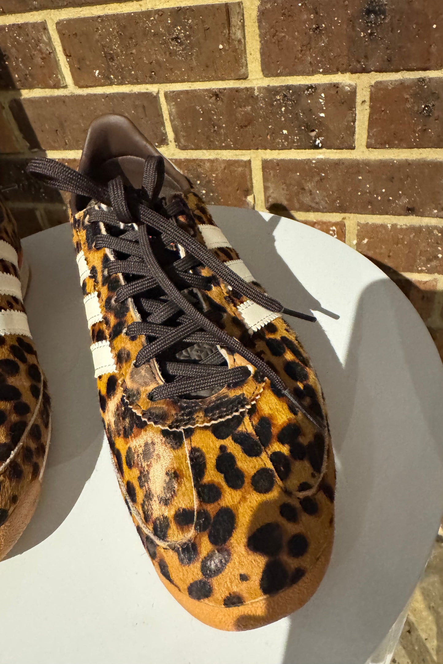 Adidas Leopard Sneaker